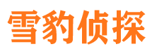 阜新外遇出轨调查取证